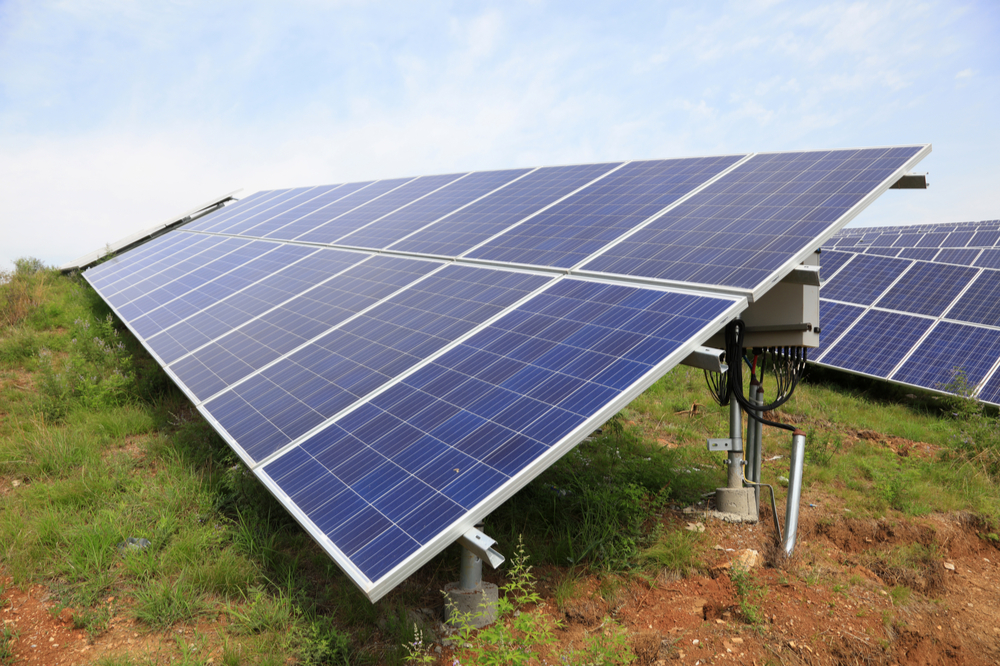 Shutterstock 449461171