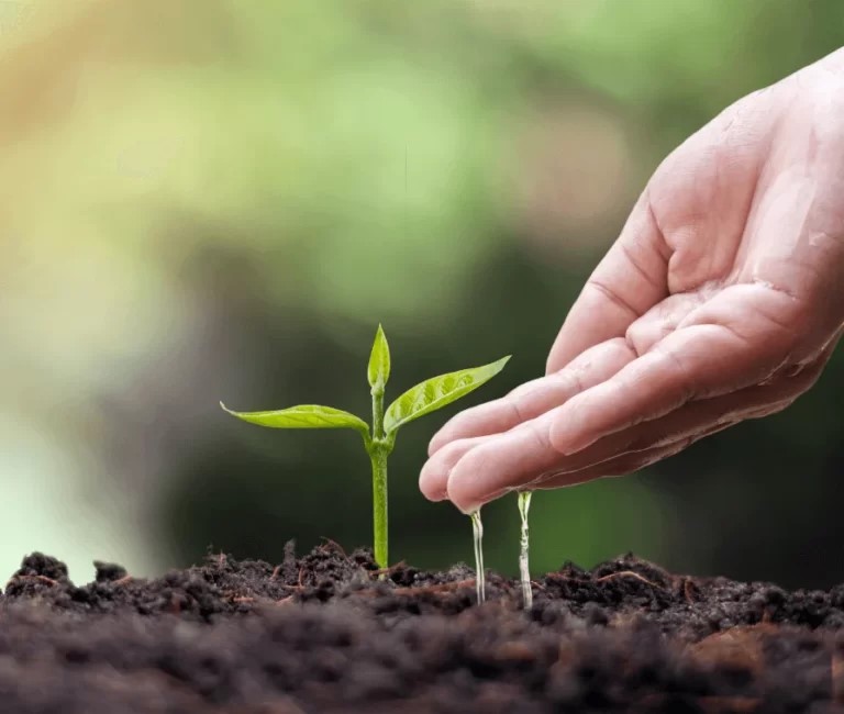 Patent and Proprietary Drugs