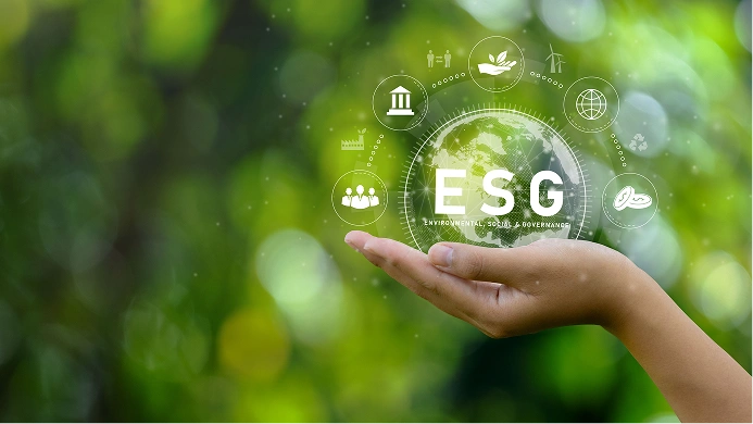 https://www.irqs.co.in/audit-assurance/esg