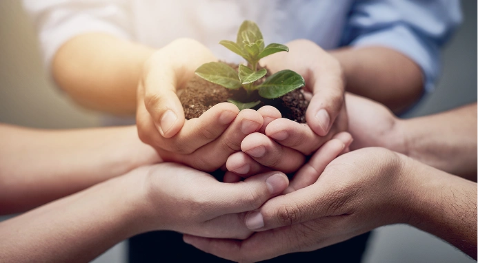 ISO 26000 Social Responsibility Lead Implementer