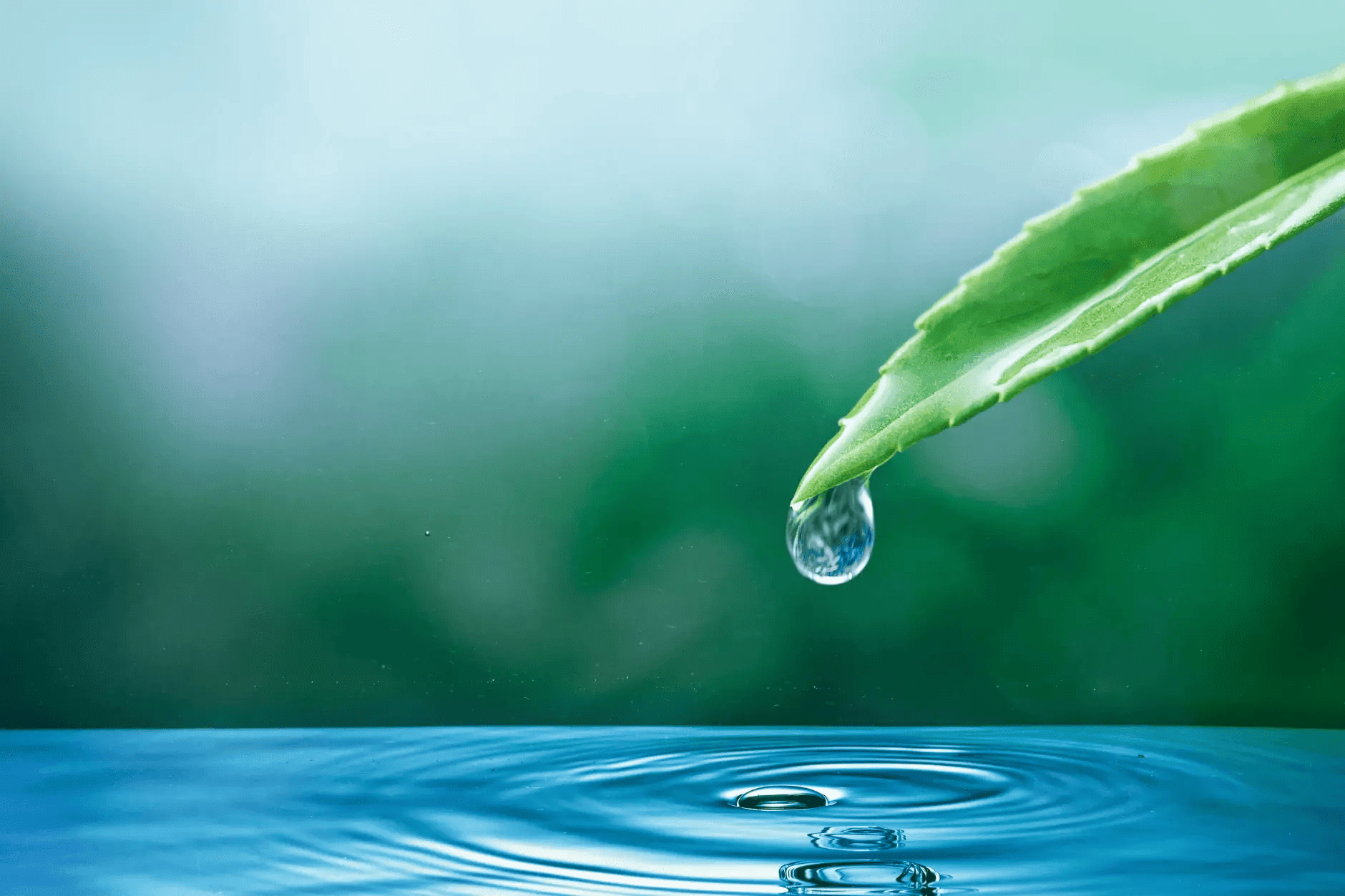 Water Testing